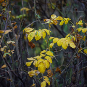 DSC02580