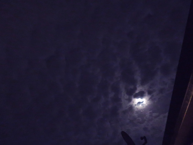 Pmoon-021.jpg