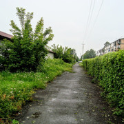 i-19
