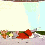 80-08-tom-jerry-karate0