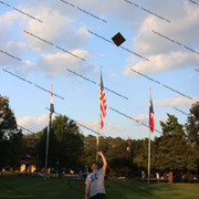 IMG-0339