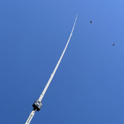 IMG-1593