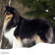 IMG-0899
