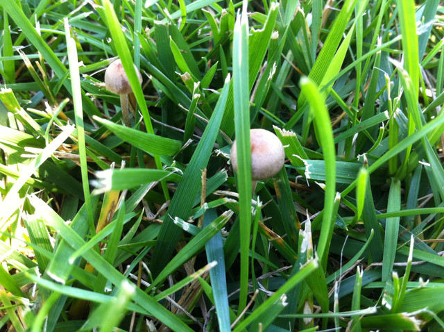 IMG-3318