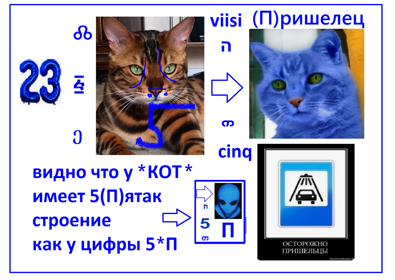 https://i.ibb.co/5d0Lp12/3087.png