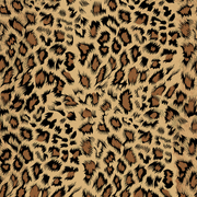 a3a7a8c98cf260c64ab0e4f8640a18b8