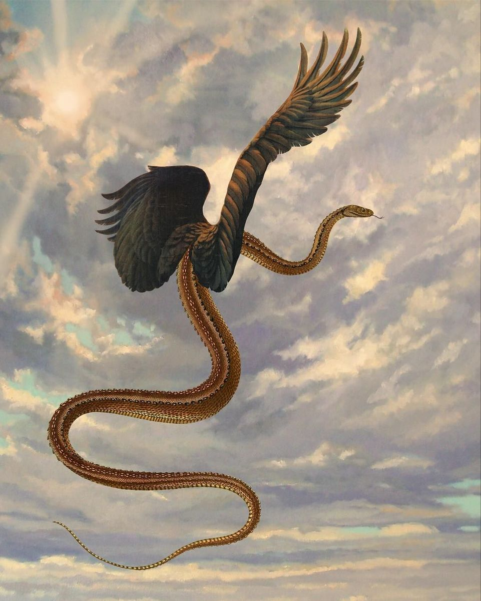 https://i.ibb.co/5g2QZX9h/image.png