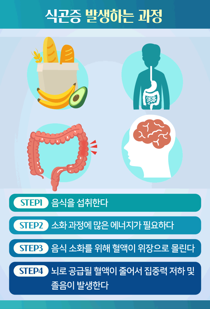 식후 졸린 이유, 혹시 혈당 때문?