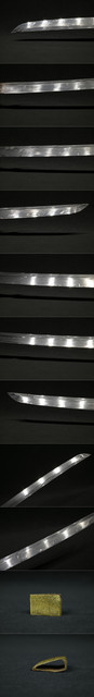 DSC8669.jpg