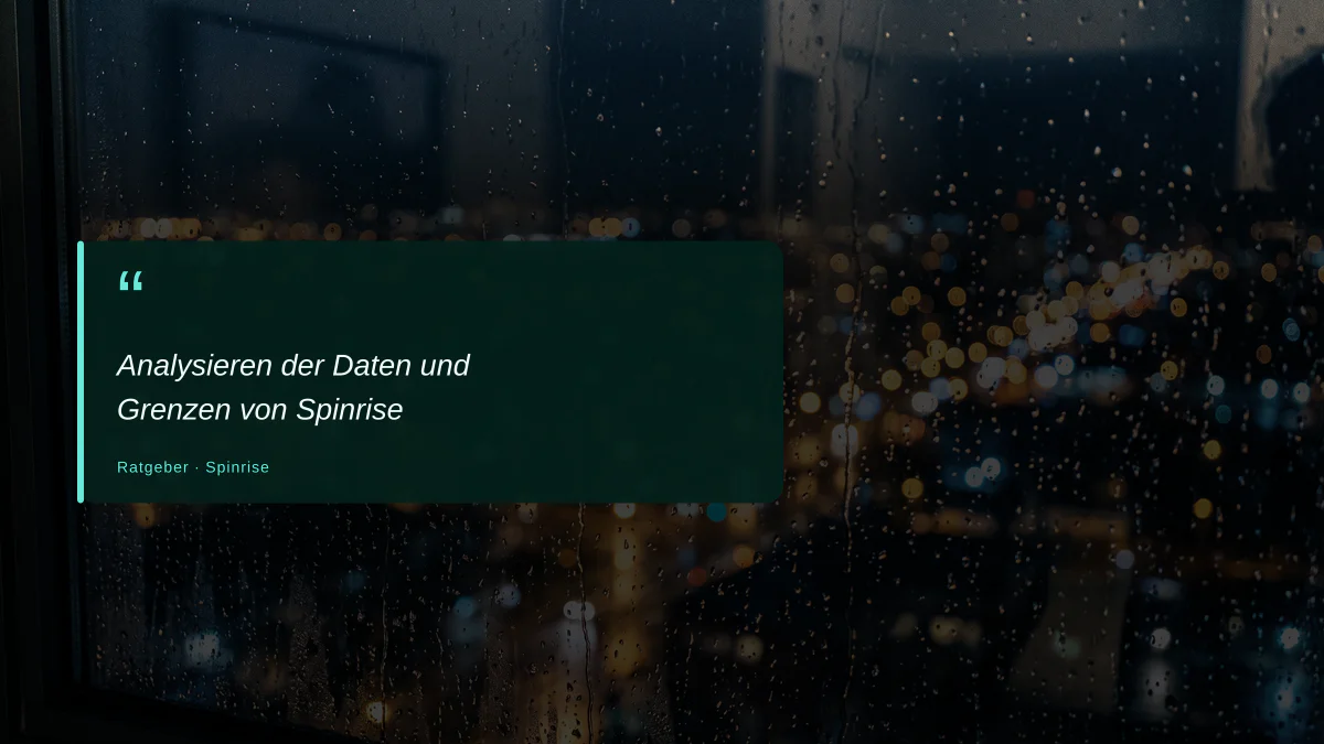 Analysieren der Daten und Grenzen von Spinrise