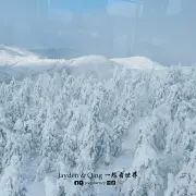 藏王树冰4