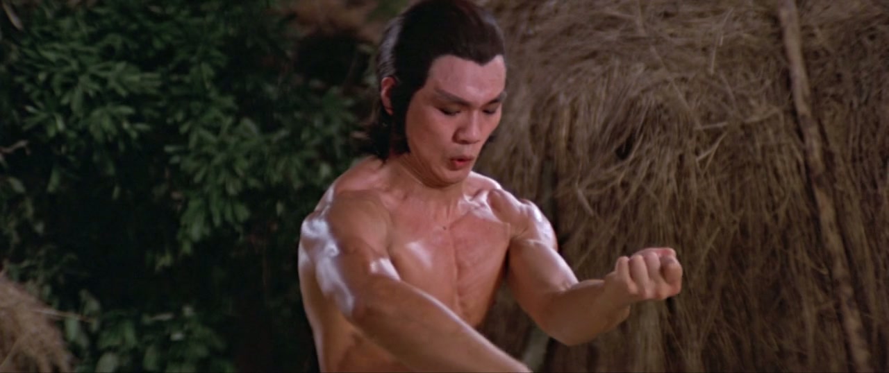 Invincible Shaolin Screenshot