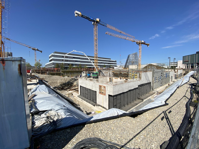 IMG 8180.jpg