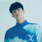 cha eun woo 1247731