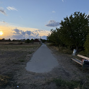 IMG 2774