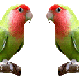0-5d41c-e787095a-XL