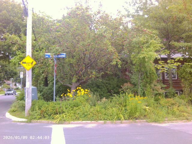 PICT0108.jpg