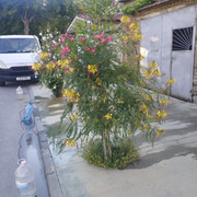 IMG 20260802 080443