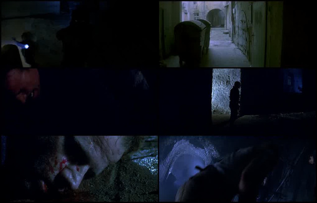 Pae-Sgo-Orcgq-Ip7-Z-1754260044