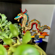 IMG 4538