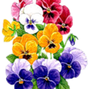 0-7a8de-12950a55-S