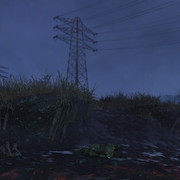 75