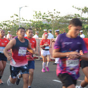 IMG-0196