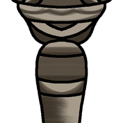 Layer 14 (11).png