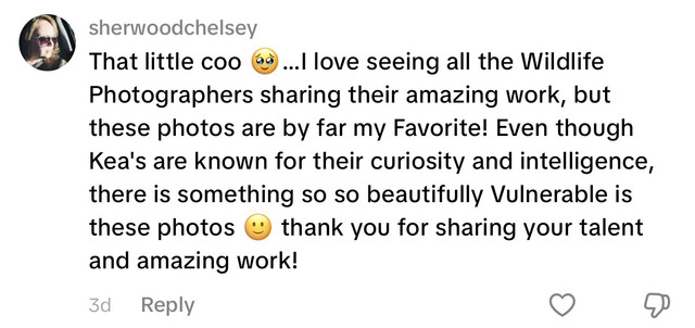 Comment: That little coo... these photos are by far my favorite