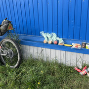 IMG 4929