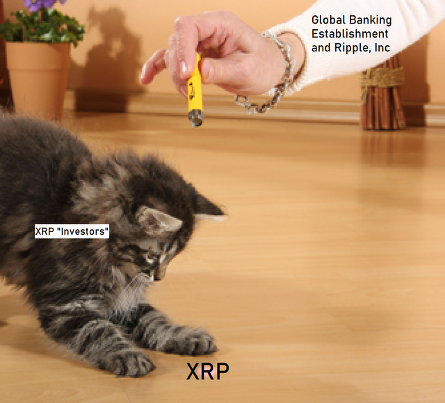 XRPCAT