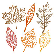 leaf