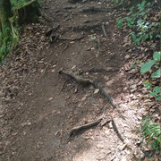 Promenadenweg1