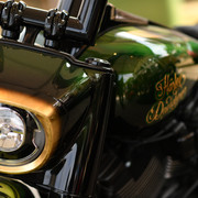 GOR 3006