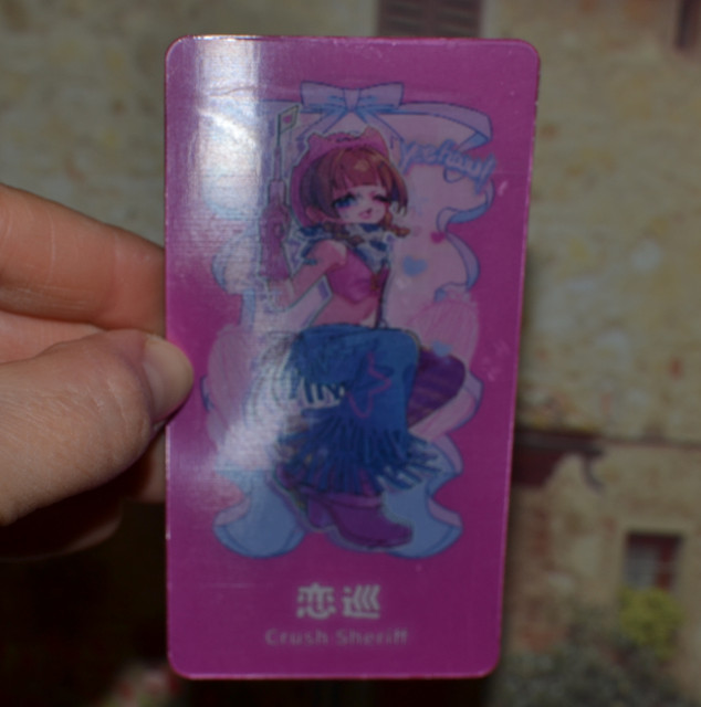 DSC-0080