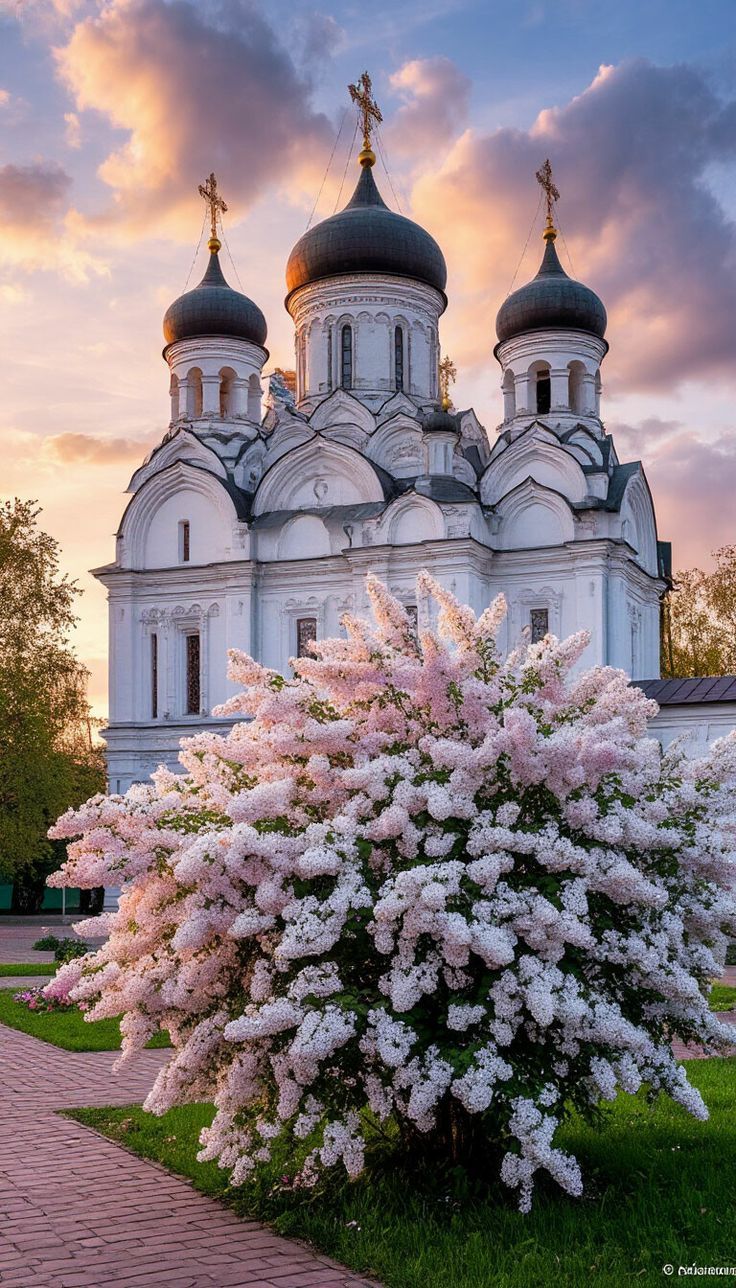 https://i.ibb.co/5grScWmq/rus23f.jpg