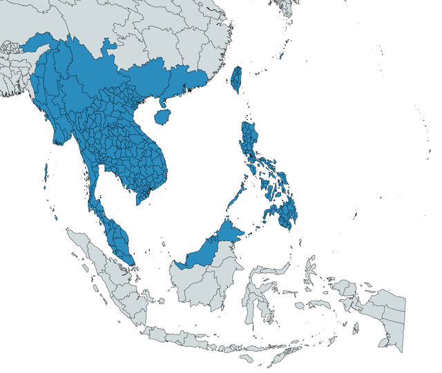 Map-Chart-Map.png