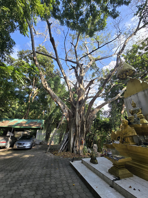 20251011-153330.jpg