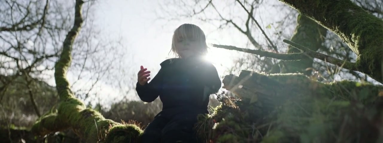 The Place of No Words Screenshot