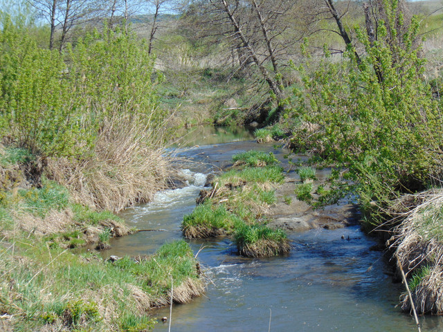 DSC00819.jpg