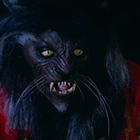 9.gif