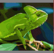 anigif.gif