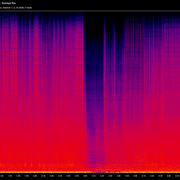 5 Svartsyn flac