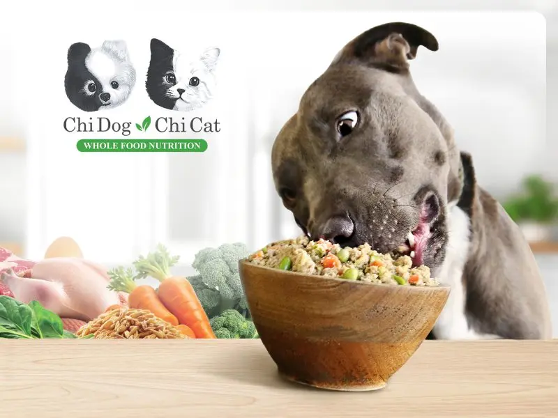 Whole Food Nutrition for Dogs: A Veterinarian's Insight
