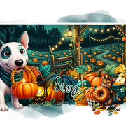 Sissy Midnight Pumpkin Patch2