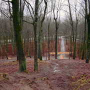 DSCF0977