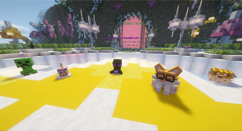 Server image