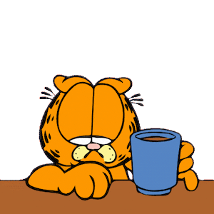 garfield 41