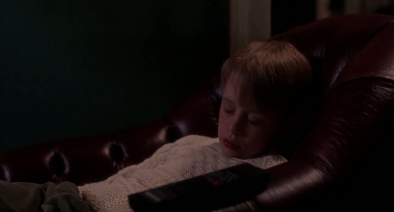 Home Alone Screenshot