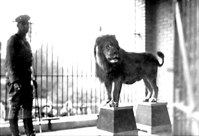 Volney Leo.jpg